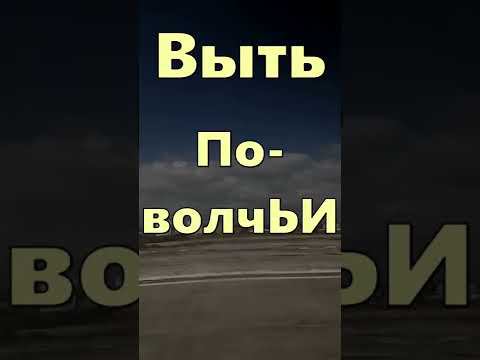 Объясняю за 30 секунд: Наречия с приставкой ПО #shorts #огэ #огэ #русскийязык смотреть онлайн