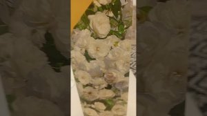 🌱Плетистая Роза Айсберг в моей коллекции, всем советую