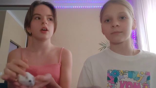 ЧЕМ КОРМИТЬ ХОМЯКА?УХОД ЗА ХОМЯКОМ