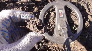 Поиск монет