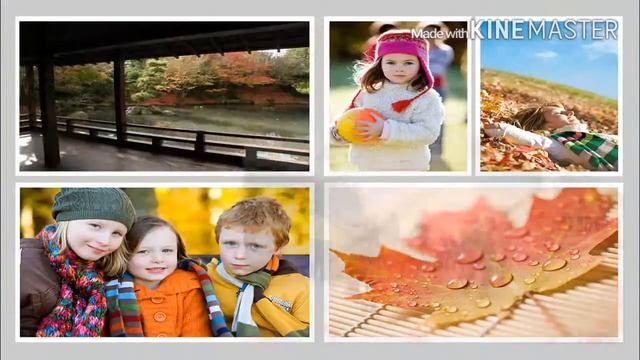 14 октября 2015 г. смотреть онлайн