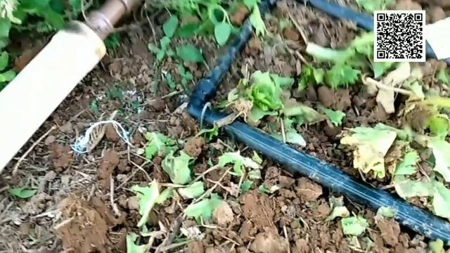 Irrigação , Gotejamento automático para sua horta / pomar. смотреть онлайн