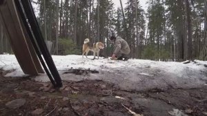 ?Рыбалка на озере с ночёвкой.Закрыл сезон твёрдой воды.mp4