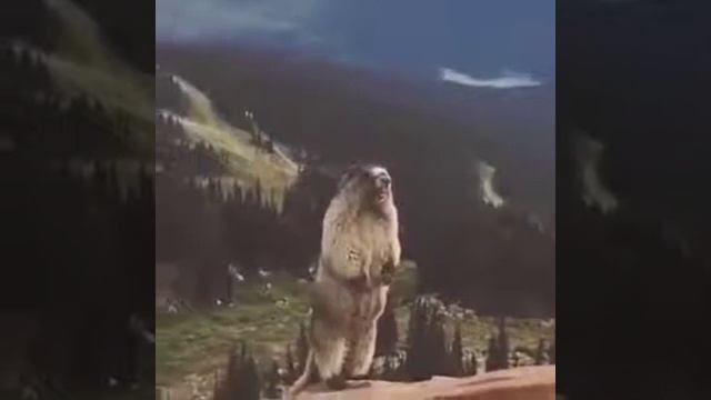 Когда всё бесит делай так)) смотреть онлайн