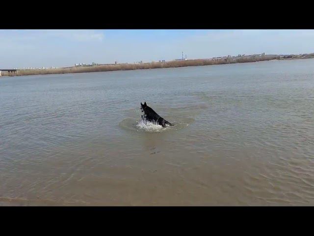 7 мая 2024 г. смотреть онлайн