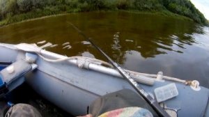 Ока, рыбалка полудонкой с лодки и донками