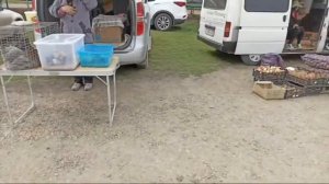 Рынок Темиргоевская