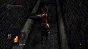 DARK SOULS: How to riposte the black knight