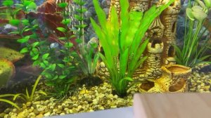 Чтение 4 кл: С.Я. Маршак «Двенадцать месяцев» Пьеса-сказка/Избранные картины/13.02.23 10:40