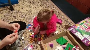 Полесье, Замок конструктор