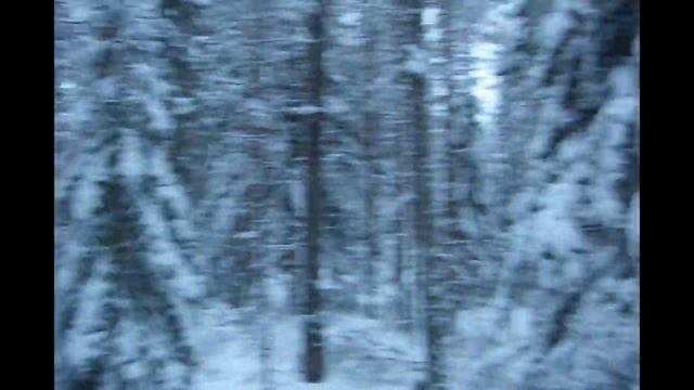 Заметки Охотника 7 сезон 11 серия. Охота на лося. Часть вторая: Лось добыт.