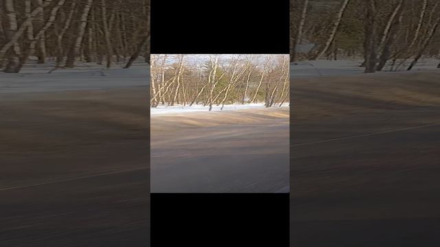 красота из окна автобуса))