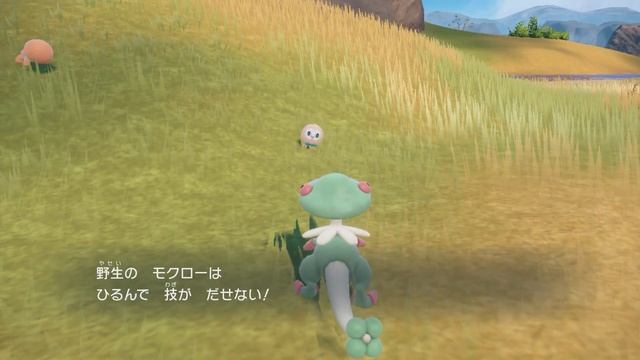 御三家を解放したら探しますよそりゃ✨　 ◇ポケットモンスターSV◇　☆星月ハル。☆ смотреть онлайн