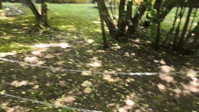 Динопарк парк Сказка Москва смотреть онлайн