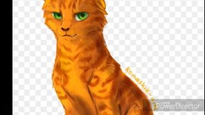 Песни в головах котов-воителей