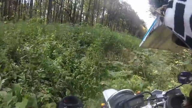 непролазные дебри 2015 смотреть онлайн