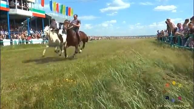 Муслюмовский район, Сабантуй ролик 2016 смотреть онлайн