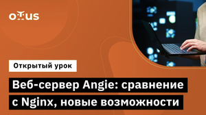 Веб сервер Angie сравнение с Nginx, новые возможности // Курс «Administrator Linux. Professional»
