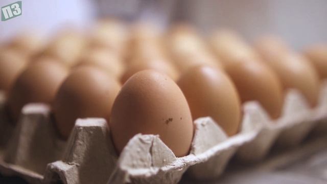 Ела по 2 яйца в день и вот что произошло с моим телом. 10 причин есть их каждый день смотреть онлайн