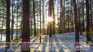 Пивзавод "ТРЕХСОСЕНСКИЙ" г. Ульяновск