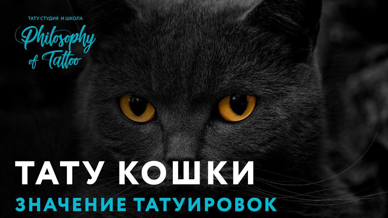 ТАТУ КОШКИ | ЗНАЧЕНИЕ ТАТУИРОВОК С КОШКАМИ | ТАТУИРОВКА КОШКА | ТАТУИРОВКИ
