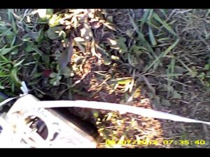 Двигатель SAITO - 40