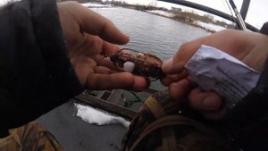 реакция рыбы на гидроперит, подводное видео! Гидроперит творит чудеса ?! да или нет??