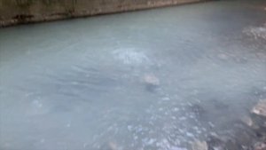 БЕСПЛАТНО |ГРЯЗЕВЫЕ ВАННЫ И СЕРОВОДОРОДНЫЕ ИСТОЧНИКИ НА МАЦЕСТЕ | ЛЕЧЕНИЕ НА МАЦЕСТЕ #WELCOMETOSOCH