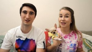 ТОММИ ЧИХУАХУА: НАМ УЖЕ 5 МЕСЯЦЕВ ? МИНИ ЧИХУАХУА | УХОД, ПИТАНИЕ, ТРУДНОСТИ ВОСПИТАНИЯ