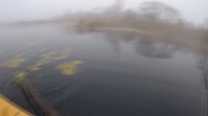 Рыбалка.Поболтаем о ловле щуки нахлыстом