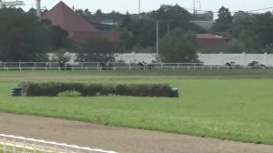 Видео Краснодарский ипподром 10 скаковой день - 22.07.2023г.