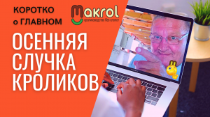 ?Крольчихи не идут в случку Почему у крольчих осенью снижается охота #Макляк #Макрол