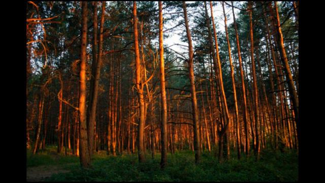 Душа грустит о небесах Аннотация смотреть онлайн