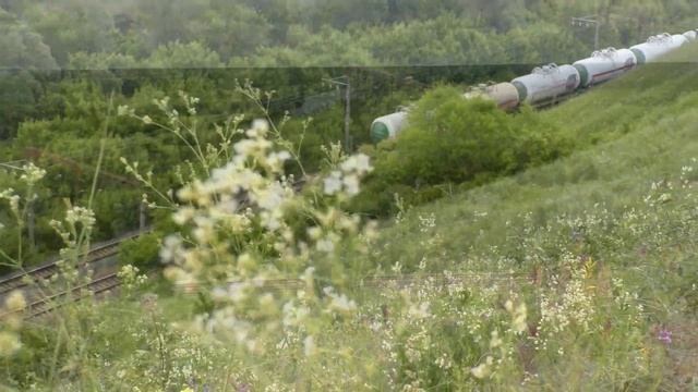 Дивногорье (красоты Воронежской области)