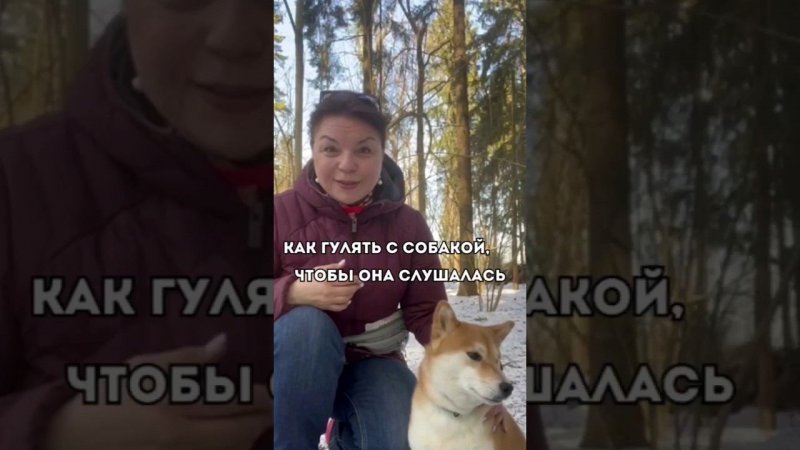КАК ГУЛЯТЬ С СОБАКОЙ, ЧТОБЫ ОНА СЛУШАЛАСЬ#дрессировка#собака