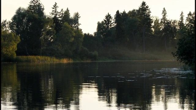 тенькает синица меж лесных кудрей темным елям снится гомон косарей. топи до болота есенин стих. темным елям снится гомон косарей. стих есенина топи да болота. темным елям снится гомон косарей.