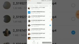 Как перенести файлы из Telegram в WhatsApp