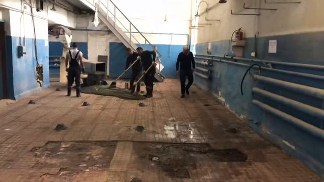 Заливка стяжки пола,пескобетон,387355 Виктор 89829387355