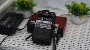 BOSS FDR-1 Fender '65 deluxe Reverb I DEMO I DIRECT I NO AMP