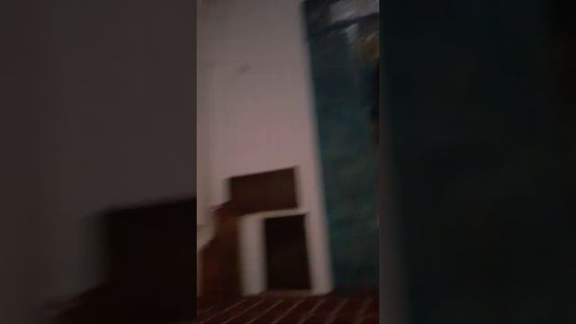 Санкт-Петербург(3) смотреть онлайн