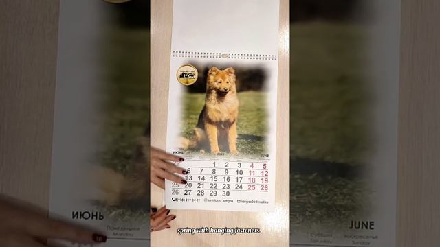 Ненецкая лайка (оленегонка, nenets laika, оленегонный шпиц). Календарь 2022