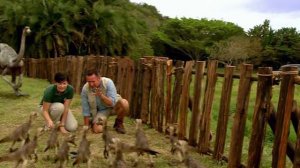 Prehistoric park.4iz6.Saving The Sabretooth.DVDRip.Xvid