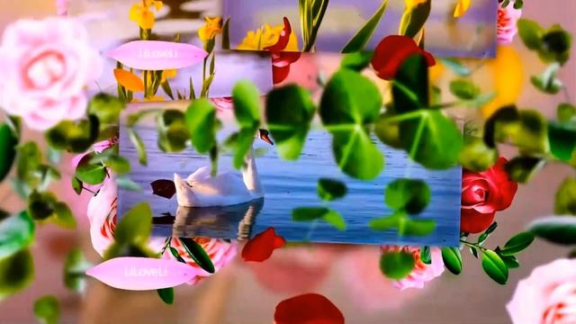 GENTLE SAXOPHONE - TU PER ME - ANGELO CAMASSA - SOUL PETALS - In the Style of La Voce Del Nord смотреть онлайн