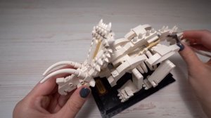 LEGO Кости динозавра 21320. Быстрая сборка