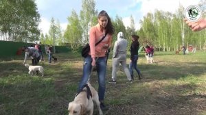 Первое занятие  Кинологический центр Барс  Дрессировка собак в Новосибирске