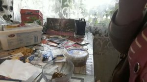 СОЗДАЕМ БОРДЮР С НУЛЯ,СЕЕМ НЕПРИХОТЛИВУЮ,ЦВЕТОЧНУЮ,  БОРДЮРНУЮ СМЕСЬ,ОТЗЫВ О ПЕРЧАТКАХ