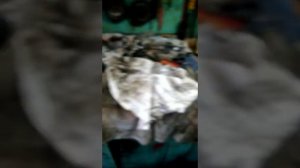 ГАЗ 66. ЗАКУСЫВАЛ ЗОЛОТНИК ( клапан управления).