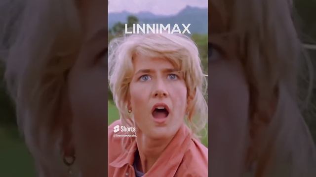 LINNIMAX – отделочные материалы для коммерческих и частных проектов