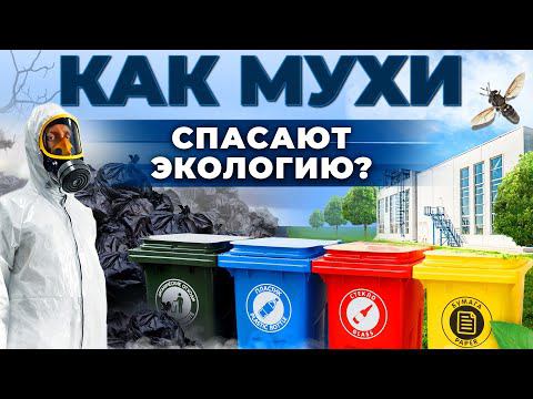 Как насекомые спасают планету? Отходы и их вторая жизнь | Экология в безопасности | Андрей Даниленко