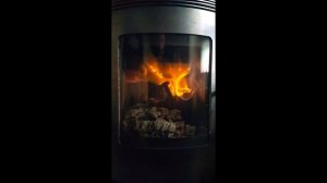 Дровяной камин с полукруглым стеклом "Визиера" от TMF